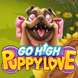 Enjoy Go High Puppy Love by RubyPlay – logo hosted on winrollacasinoo.com