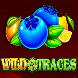 Play the Wild Traces slot by Amusnet Interactive on WinRolla Casino